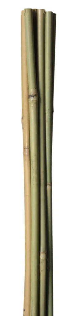 Bambuspinde 150 cm 4 stk.