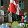 Dano Mast flagstang 8 meter