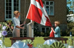 Dano Mast flagstang 8 meter