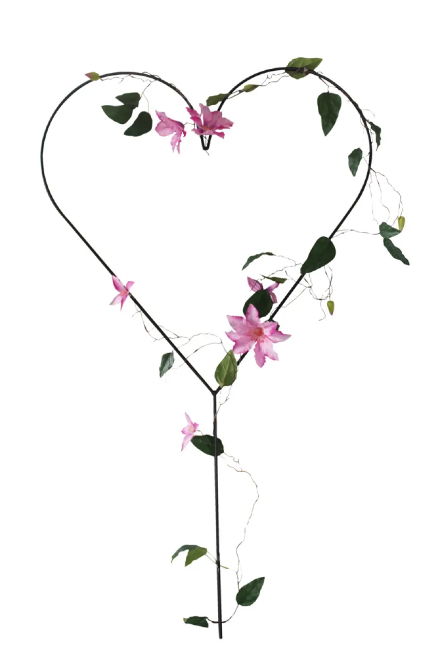 Hjerteformet espalier 69 x 123 cm