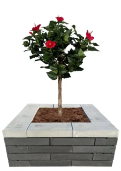 Murblok Nordic Wall grå 60 x 30 x 12 cm