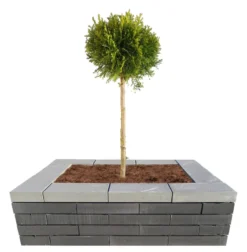 Murblok Nordic Wall koks 60 x 30 x 12 cm